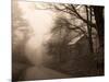 Parish Hill Road-Christine Triebert-Mounted Photographic Print