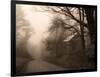 Parish Hill Road-Christine Triebert-Framed Photographic Print