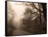 Parish Hill Road-Christine Triebert-Framed Stretched Canvas