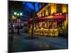 Parisian Cafe, Paris, France, Europe-Jim Nix-Mounted Photographic Print