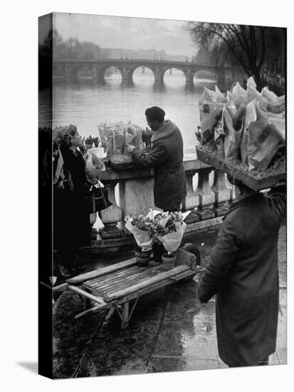 Parisian Flower Vendor at Work Stocking His Stall on the Seine with the Pont Neuf in the Background-Ed Clark-Stretched Canvas