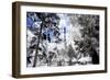 Parisian Forest II - In the Style of Oil Painting-Philippe Hugonnard-Framed Giclee Print