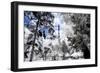 Parisian Forest II - In the Style of Oil Painting-Philippe Hugonnard-Framed Giclee Print