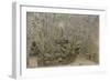 Parisian Fountains-Jean-Marie Amelin-Framed Giclee Print