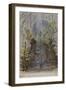 Parisian Fountains-Jean-Marie Amelin-Framed Giclee Print