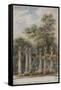 Parisian Fountains-Jean-Marie Amelin-Framed Stretched Canvas