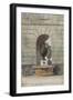 Parisian Fountains-Jean-Marie Amelin-Framed Giclee Print