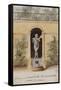 Parisian Fountains-Jean-Marie Amelin-Framed Stretched Canvas