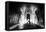 Parisian Ghost-Sebastien Lory-Framed Stretched Canvas