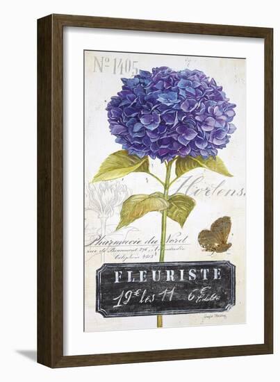 Parisian Hydrangea-Angela Staehling-Framed Art Print