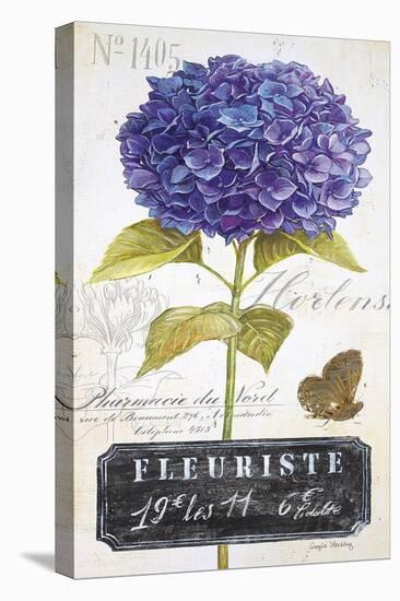 Parisian Hydrangea-Angela Staehling-Stretched Canvas