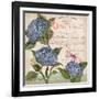 Parisian Hydrangeas I-Paul Brent-Framed Art Print