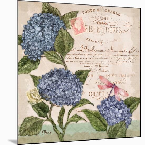 Parisian Hydrangeas I-Paul Brent-Mounted Art Print