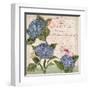 Parisian Hydrangeas I-Paul Brent-Framed Art Print