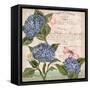 Parisian Hydrangeas I-Paul Brent-Framed Stretched Canvas