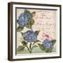 Parisian Hydrangeas I-Paul Brent-Framed Art Print