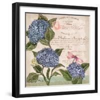 Parisian Hydrangeas I-Paul Brent-Framed Art Print