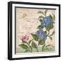 Parisian Hydrangeas II-Paul Brent-Framed Art Print