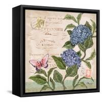 Parisian Hydrangeas II-Paul Brent-Framed Stretched Canvas