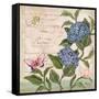 Parisian Hydrangeas II-Paul Brent-Framed Stretched Canvas