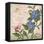 Parisian Hydrangeas II-Paul Brent-Framed Stretched Canvas