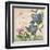 Parisian Hydrangeas II-Paul Brent-Framed Art Print