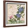 Parisian Hydrangeas II-Paul Brent-Framed Art Print