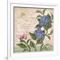 Parisian Hydrangeas II-Paul Brent-Framed Art Print