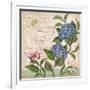 Parisian Hydrangeas II-Paul Brent-Framed Art Print