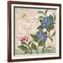 Parisian Hydrangeas II-Paul Brent-Framed Art Print