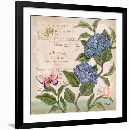 Parisian Hydrangeas II-Paul Brent-Framed Art Print