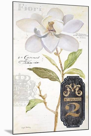 Parisian Magnolia-Angela Staehling-Mounted Art Print