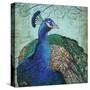 Parisian Peacock I-Elizabeth Medley-Stretched Canvas