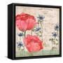 Parisian Peonies I-Paul Brent-Framed Stretched Canvas