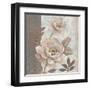 Parisian Peony II-Tim O'toole-Framed Art Print