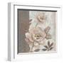 Parisian Peony II-Tim O'toole-Framed Art Print