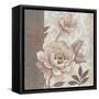 Parisian Peony II-Tim O'toole-Framed Stretched Canvas