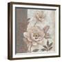 Parisian Peony II-Tim O'toole-Framed Art Print