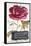 Parisian Rose-Angela Staehling-Framed Stretched Canvas