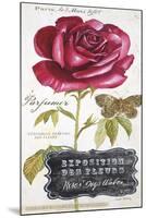 Parisian Rose-Angela Staehling-Mounted Art Print