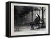 Parisian Sketches-Honore Daumier-Framed Stretched Canvas