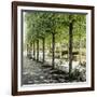 Parisian Stroll I-Emily Navas-Framed Photographic Print