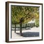 Parisian Stroll III-Emily Navas-Framed Photographic Print