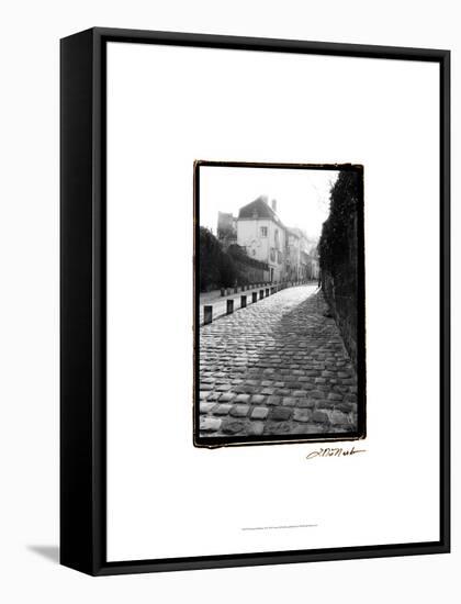 Parisian Walkway II-Laura Denardo-Framed Stretched Canvas