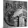 Parisian Wall Black IV-Janice Gaynor-Mounted Art Print