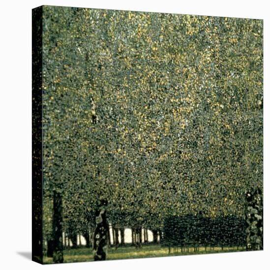 Park, 1910-Gustav Klimt-Stretched Canvas