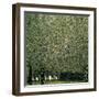 Park, 1910-Gustav Klimt-Framed Giclee Print