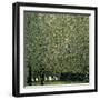 Park, 1910-Gustav Klimt-Framed Giclee Print