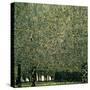 Park, 1910-Gustav Klimt-Stretched Canvas