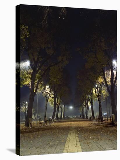 Park at Night, Padua, Italy-Chuck Haney-Stretched Canvas